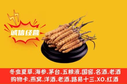 石河子胡杨河市回收冬虫夏草